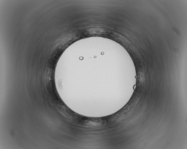 X0000113170567200910021525