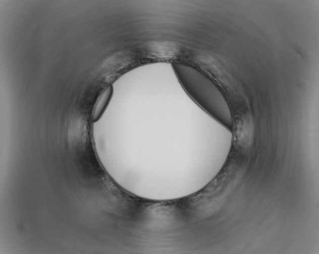 X0000113170568200910021525