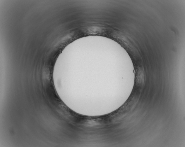 X0000113170569200910021525