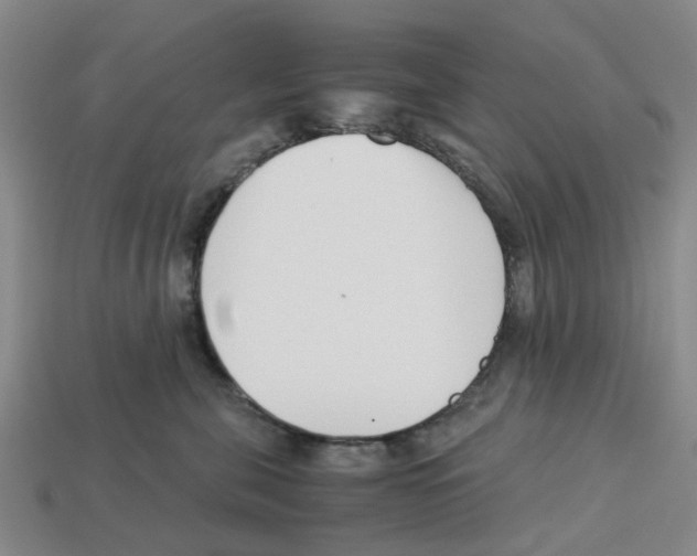 X0000113170571200910021525