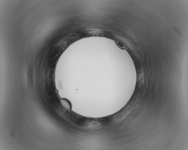 X0000113170572200910021525