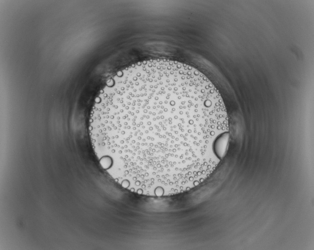 X0000113170573200910021525