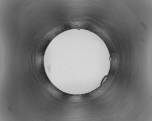 X0000113170574200910021525