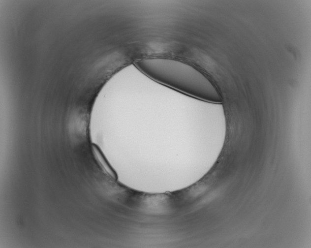 X0000113170576200910021525