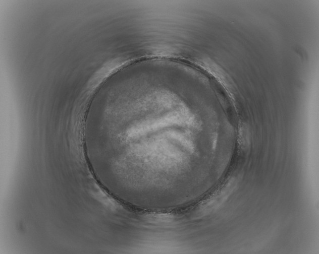 X0000113170577200910021524