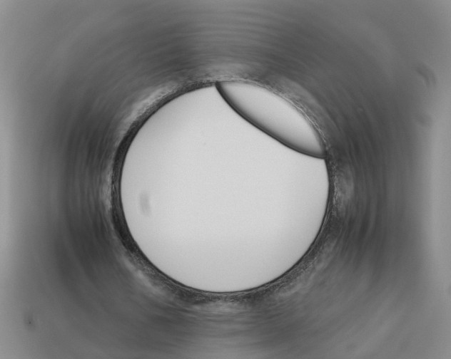 X0000113170578200910021524