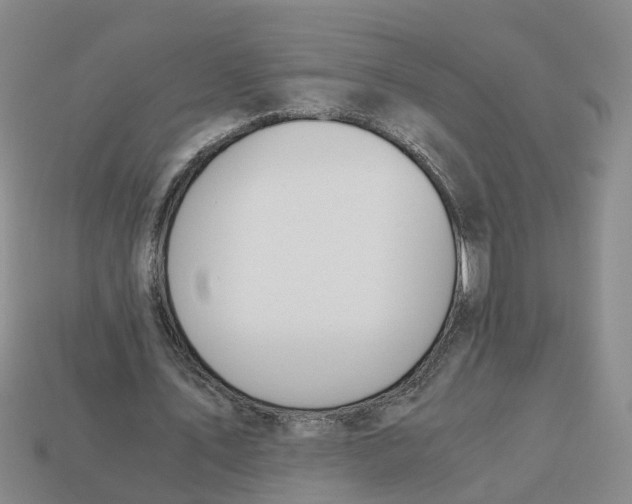 X0000113170579200910021524