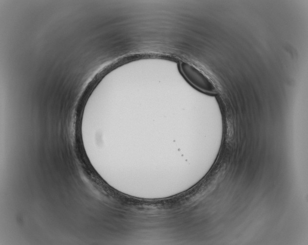 X0000113170580200910021524