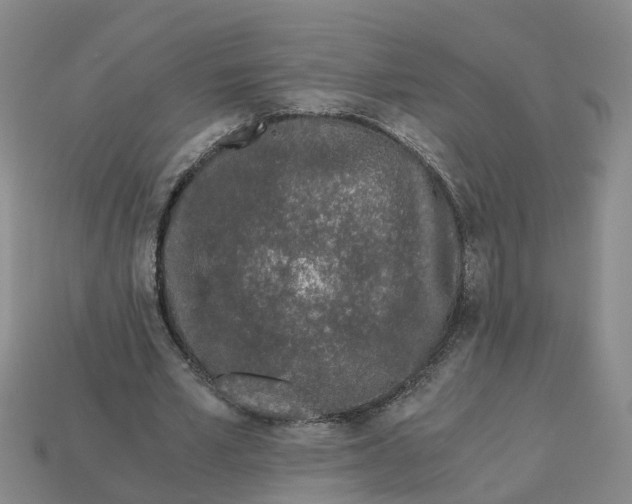 X0000113170581200910021524