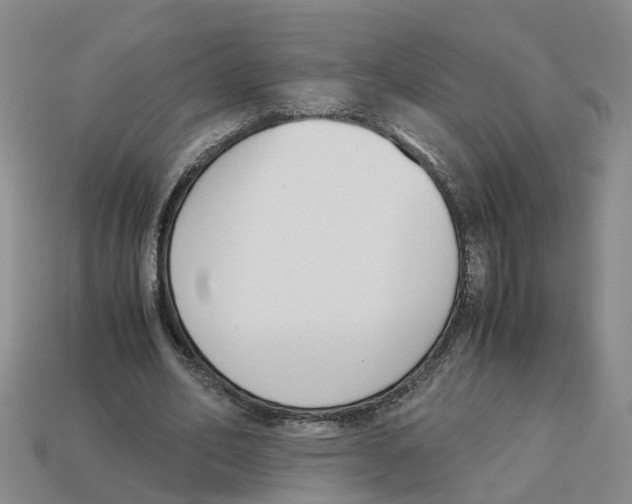 X0000113170582200910021524