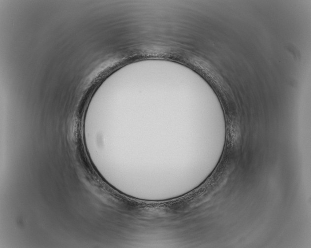 X0000113170583200910021524