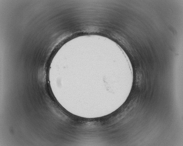 X0000113170584200910021524