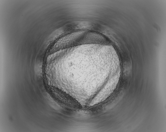 X0000113170585200910021524