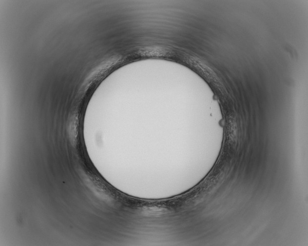 X0000113170586200910021524