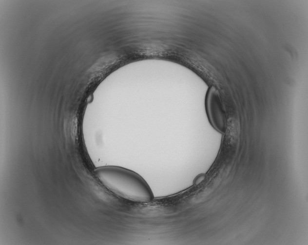 X0000113170589200910021524