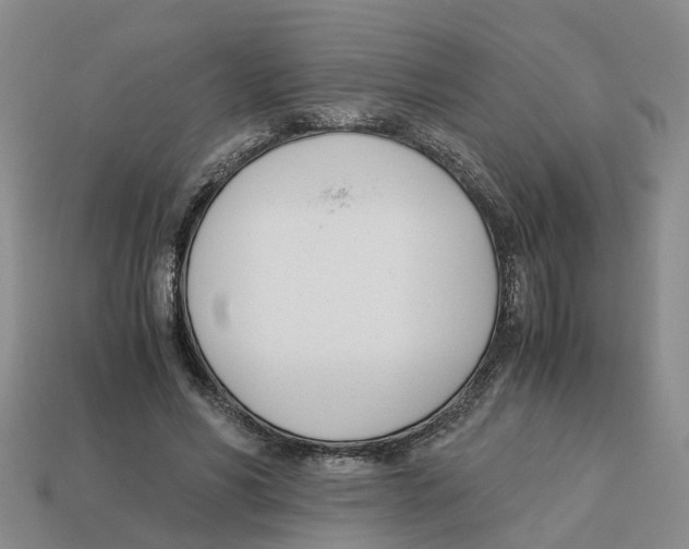 X0000113170590200910021524