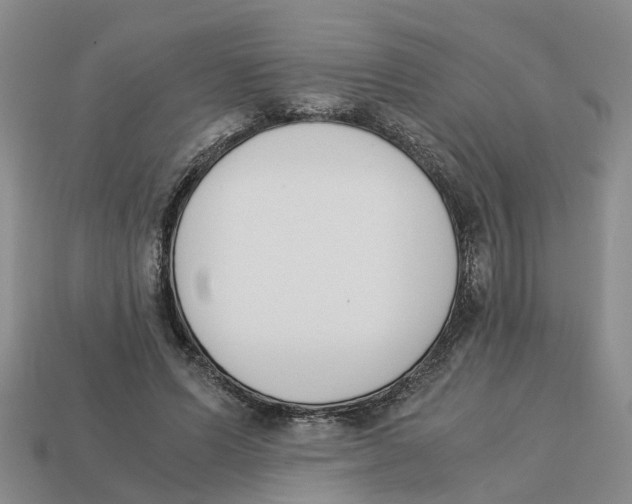 X0000113170591200910021524