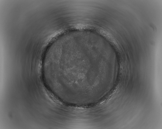 X0000113170592200910021524