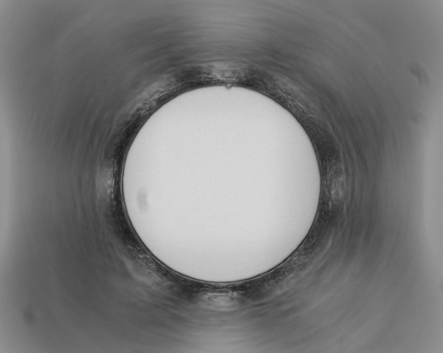 X0000113170595200910021524