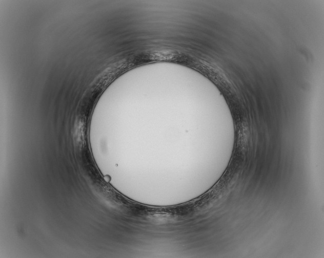 X0000113170598200910021524