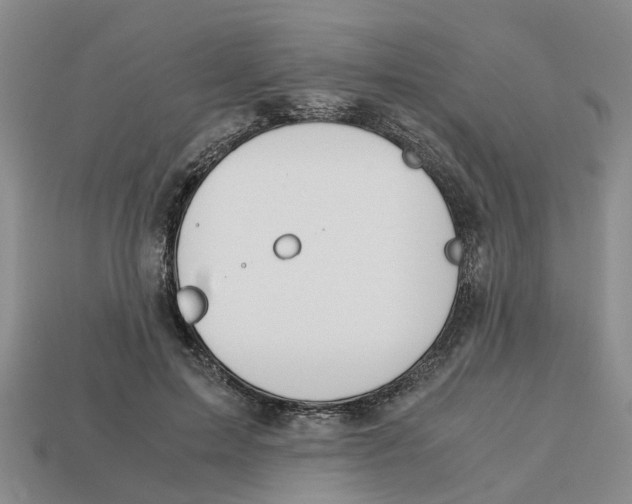 X0000113170599200910021524