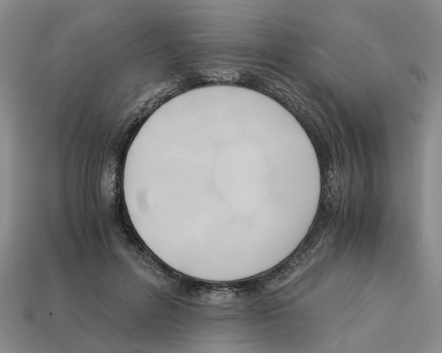 X0000113170600200910021524