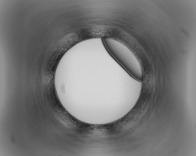X0000113170601200910021524