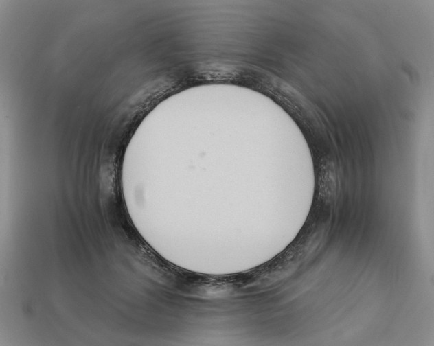 X0000113170604200910021524