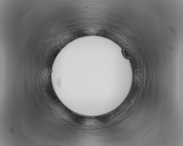 X0000113170605200910021524