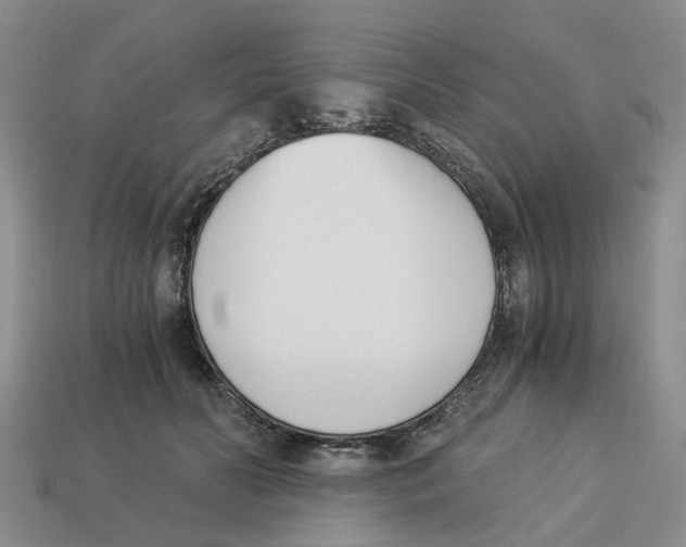 X0000113170606200910021524