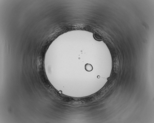 X0000113170608200910021524