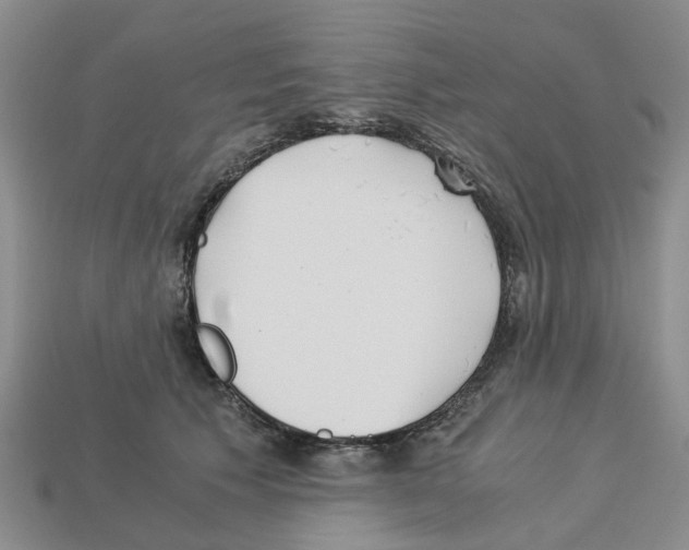 X0000113170609200910021524