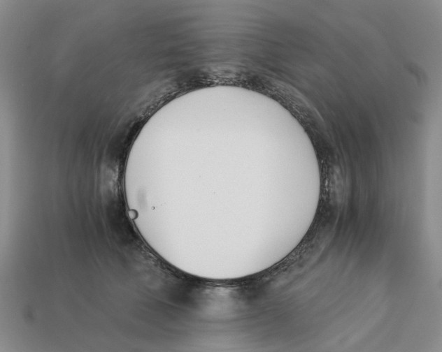 X0000113170610200910021524