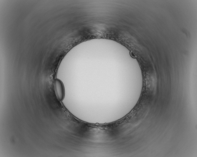 X0000113170611200910021524
