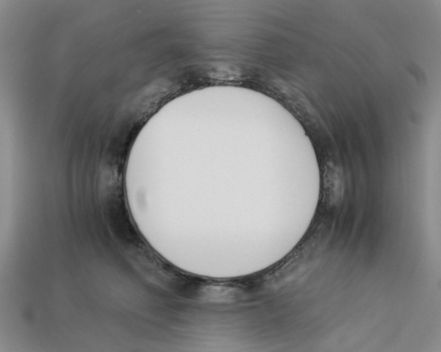 X0000113170614200910021524