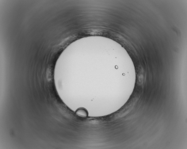 X0000113170620200910021524