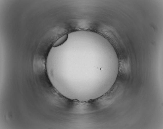 X0000113170621200910021524
