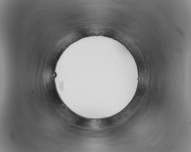 X0000113170623200910021524