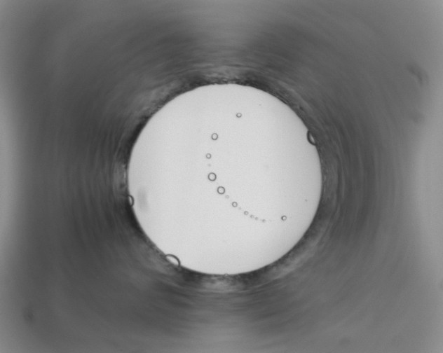 X0000113170624200910021524