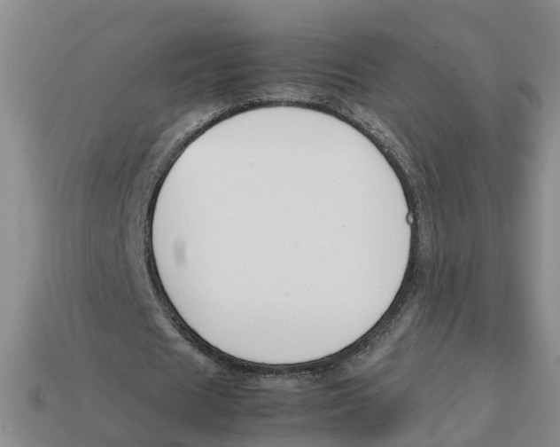 X0000113170625200910021523