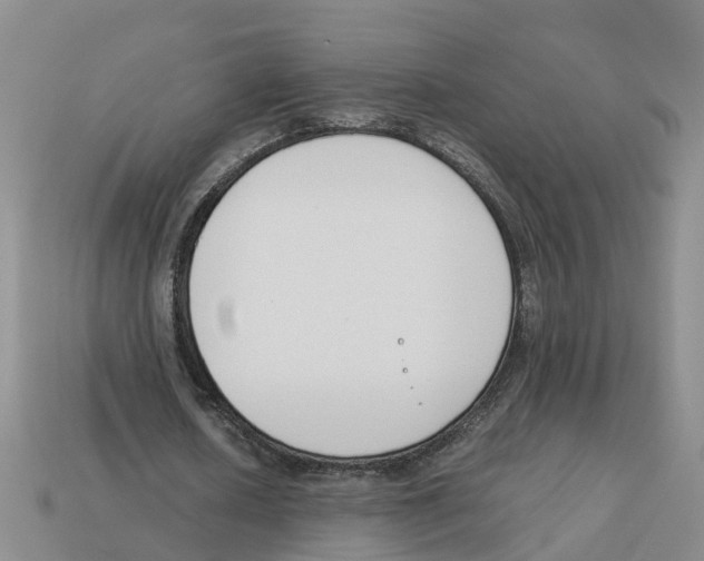 X0000113170626200910021523