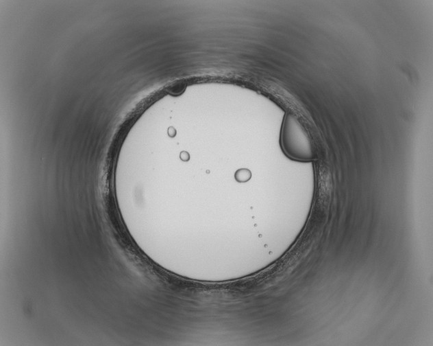 X0000113170628200910021523