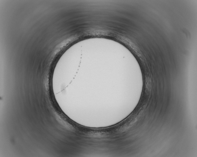 X0000113170629200910021523