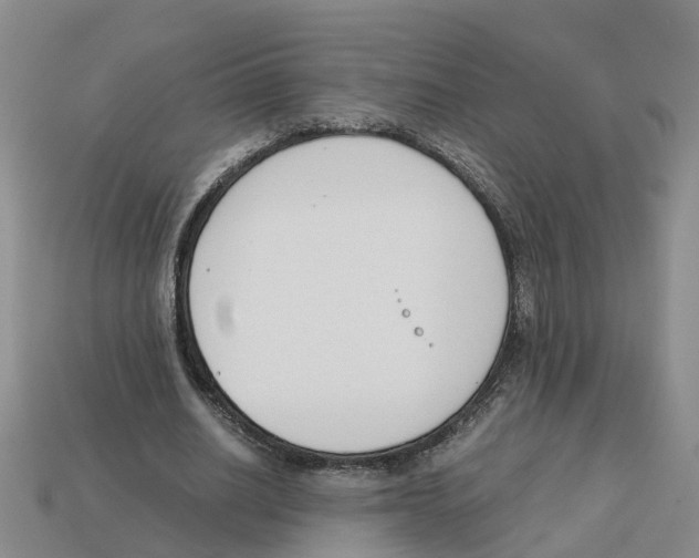 X0000113170630200910021523