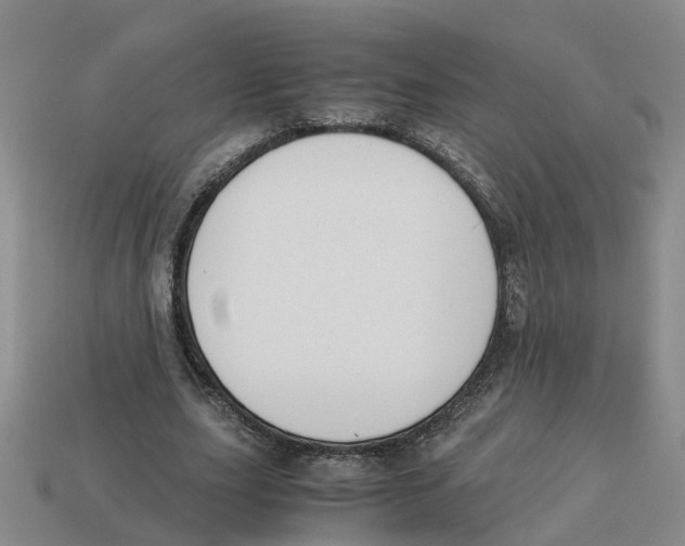 X0000113170631200910021523