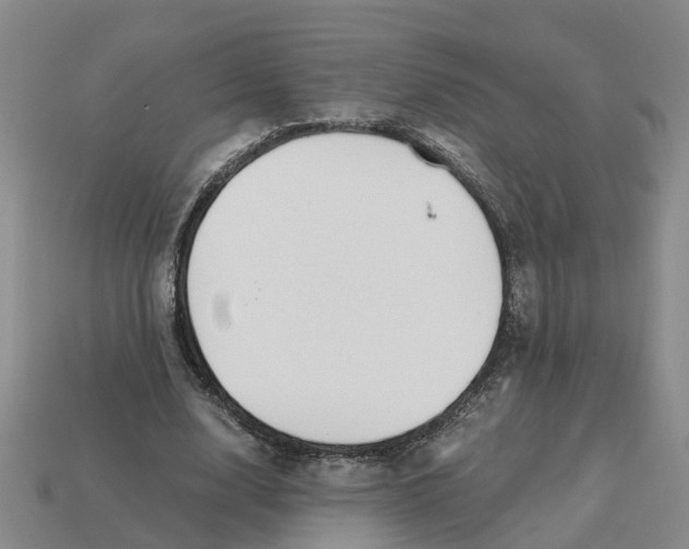 X0000113170632200910021523