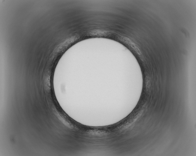X0000113170633200910021523