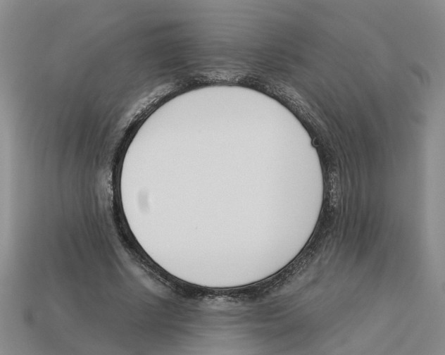 X0000113170634200910021523