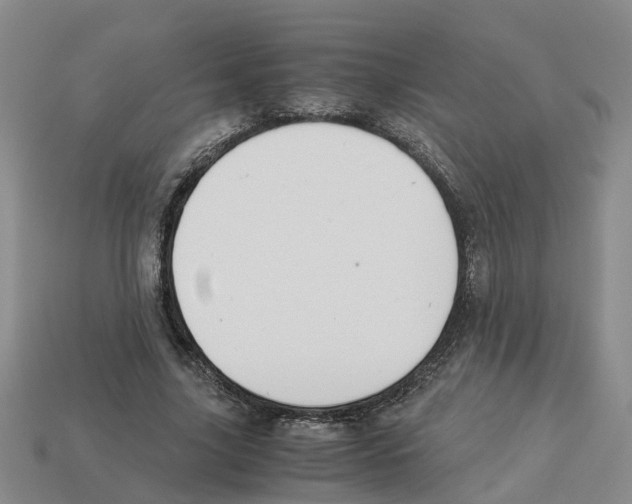 X0000113170635200910021523