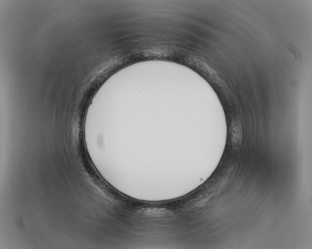 X0000113170637200910021523